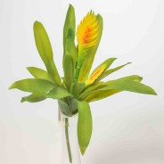 Pick decorativo di Vriesea - 2 Colori - Giallo