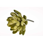 Succulenta artificiale con foglia tonda verde in pick - 11 Cm