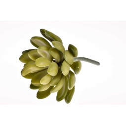 Succulenta artificiale con foglia tonda verde in pick - 11 Cm