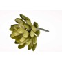 Succulenta artificiale con foglia tonda verde in pick - 11 Cm