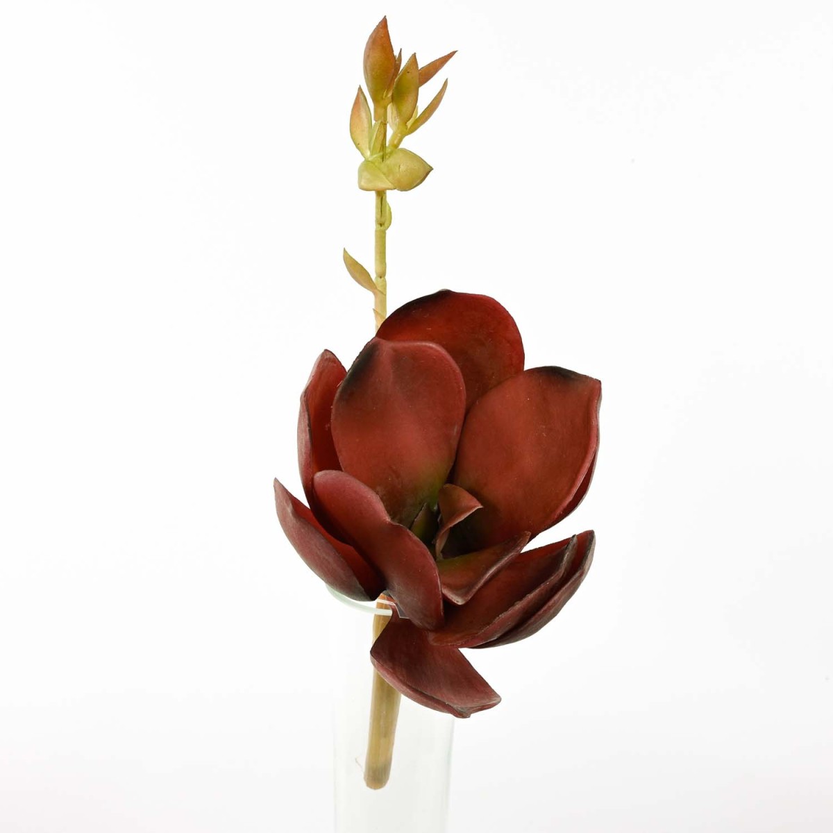 Succulenta artificiale burgundy in pick - 20 Cm