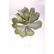 Succulenta artificiale verde screziato - 28 Cm