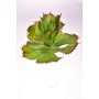 Succulenta artificiale verde - 28 Cm