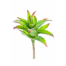 Pianta grassa verde - 24 Cm