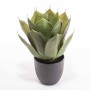 Pianta artificiale Agave  d. 17 con vaso di ceramica