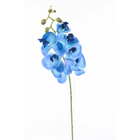 Orchidea Phalaenopsis artificiale in ramo  - 74 cm - Blu