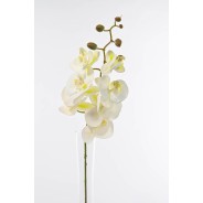 Orchidea Phalaenopsis artificiale in ramo  - 74 cm - Crema