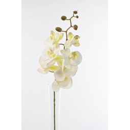 Orchidea Phalaenopsis artificiale in ramo  - 74 cm - Crema