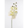 Orchidea Phalaenopsis artificiale in ramo  - 74 cm - Crema