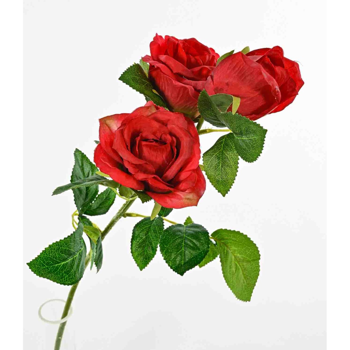 Rosa in ramo con bocciolo - 60 Cm  - Rosso