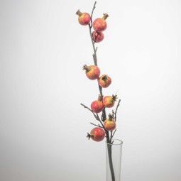 Melograno in ramo - 65 Cm