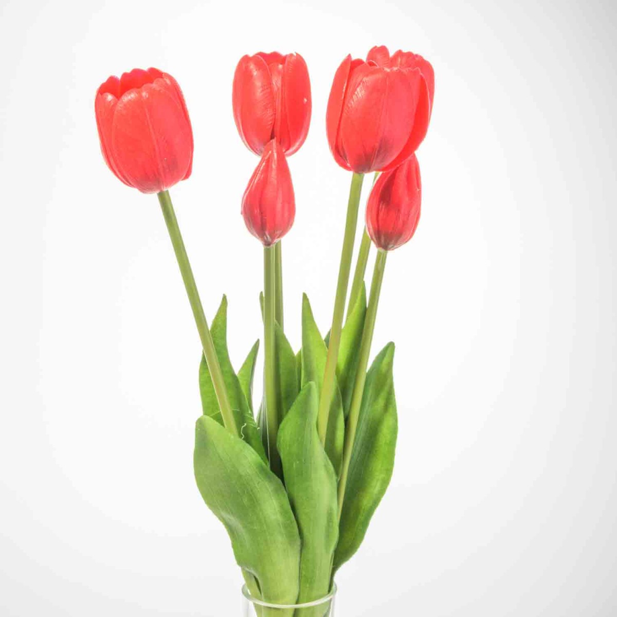 Tulipani "Real touch" - Rosso vivo