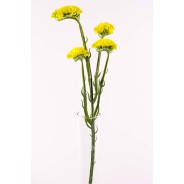 Statice ramificato in stelo con 4 fiori cm. 63 in vari colori - Giallo