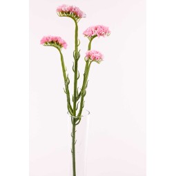 Statice ramificato in stelo con 4 fiori cm. 63 in vari colori - Rosa chiaro