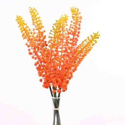 Eremoro in mazzo da 6 steli in due colori - Arancione