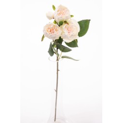 Rosellina inglese in ramo da 4 fiori vari colori - Crema