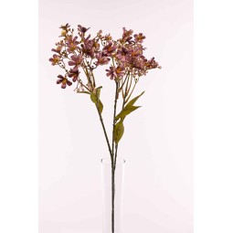 Stelo di dafne ramificato con 3 rami in tre colori diversi - Malva