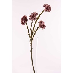 Statice ramificato in stelo con 4 fiori cm. 63 in vari colori - Malva