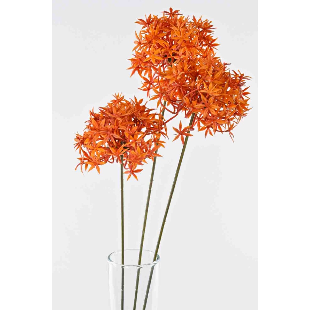 Fiore di Aglio  (allium) ramificato con tre fiori - 62 cxm. in vari colori - Arancione