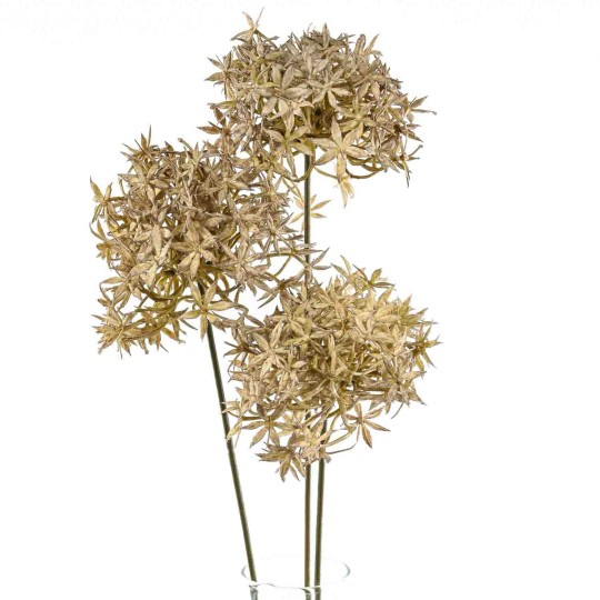 Fiore di Aglio  (allium) ramificato con tre fiori - 62 cxm. in vari colori - Grigio