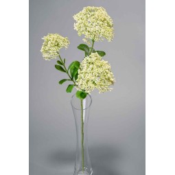Fiore di Sedano - 58 CM disponibile in vari colori - Bianco