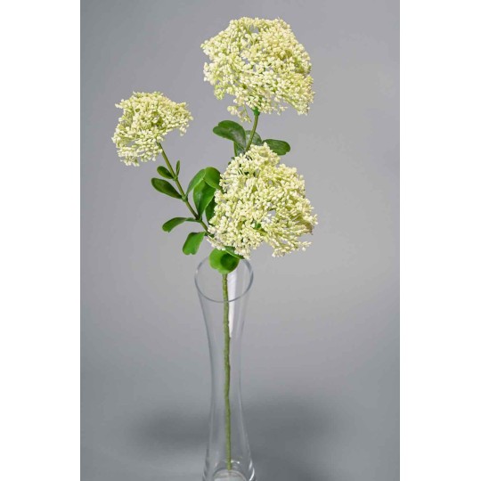 Fiore di Sedano - 58 CM disponibile in vari colori - Bianco