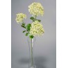 Fiore di Sedano - 58 CM disponibile in vari colori - Bianco