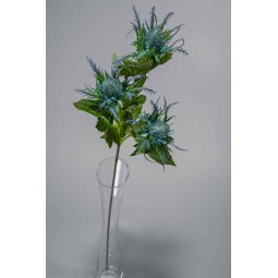 Eringium ramificato con 3 fiori - 65 cm in vari colori - Blu