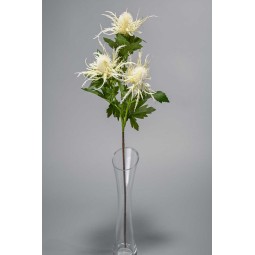 Eringium ramificato con 3 fiori - 65 cm in vari colori - Crema