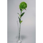 Garofano green trick - Verde  - 54 cm.