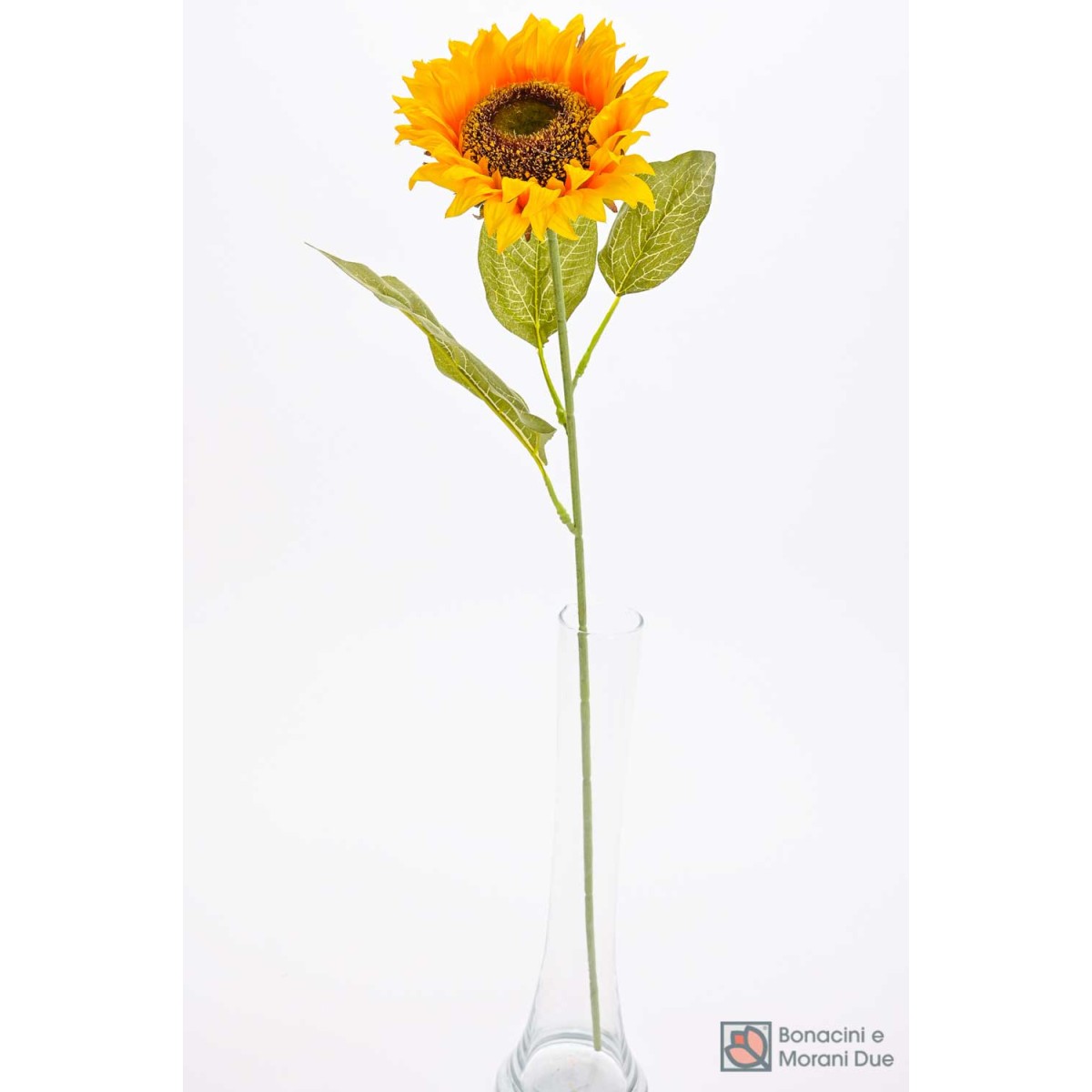 Girasole ramificato - 73 CM - Giallo