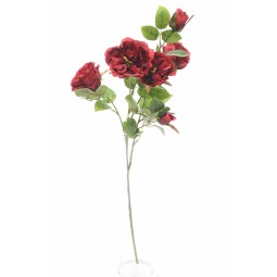 Rosa "Austin" 4 fiori - Rosso