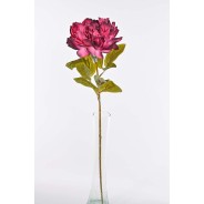 Peonia - 70 CM - in vari colori - Fuxia