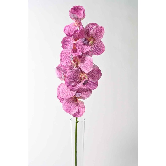 Orchidea "Wanda" real touch 80 CM fuxia