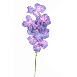 Orchidea "Wanda" real touch 80 CM viola