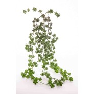 Succulenta artificiale verde cadente - 66 Cm