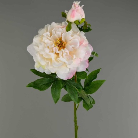 Peonia ramificata 93 cm colore bianco sfumato