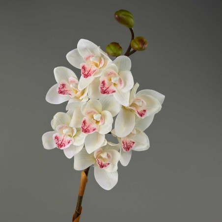 Ramo artificiale di Cymbidium medio cm.80 - Crema