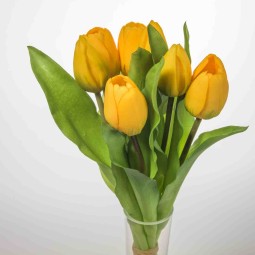 Tulipani "Real touch" in mazzo - Giallo