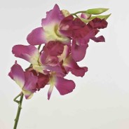 Orchidea Dendrobium. real touch - 53 Cm -  Viola