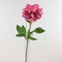 Peonia a stelo cm. 67 in vari colori - Fucsia