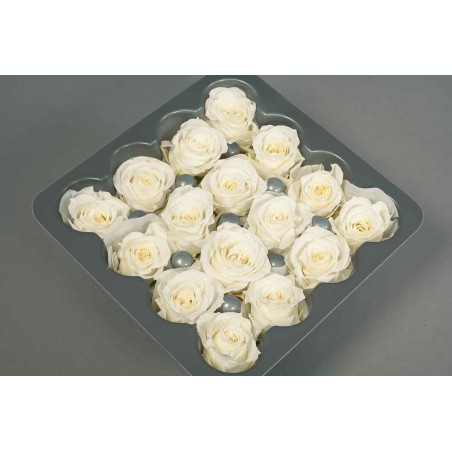 Rose stabilizzate - 16 Pezzi - Bianco