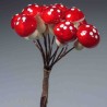 Funghi rossi in pick 12 Mazzi - 11 Cm