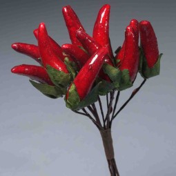 Peperoncini rossi in pick 12 Mazzi - 12 Cm