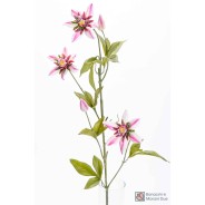 Passiflora in stelo - 75 CM colore bianco sfumato Fucsia