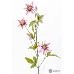 Passiflora in stelo - 75 CM colore bianco sfumato Fucsia