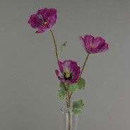 Papavero ramificato con 3 fiori - 70 cm in vari colori - Viola