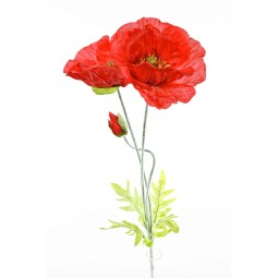 Papavero in ramo con 3 steli colore rosso