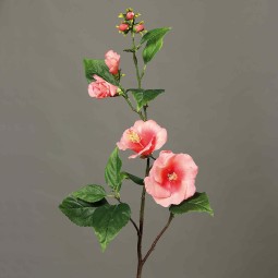 Ibisco in mazzetto ramificato con due fiori cm. 70 in vari colori - Rosa