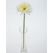 Gerbera singola in ramo - 57 CM in vari colori pastello - Bianco